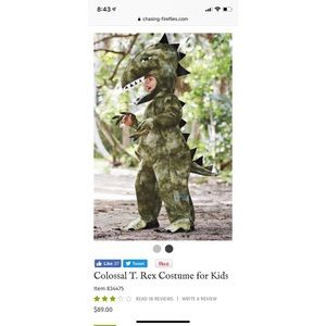 Chasing Fireflies Colossal T Rex Dinosaur Costume